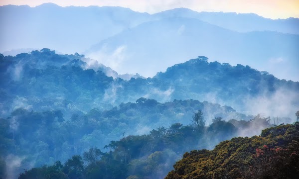 Volcanic hillsides near Lake Kivu, Rwanda