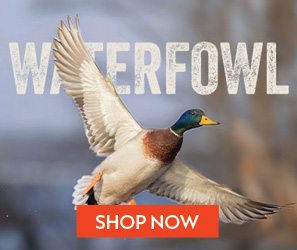Waterfowl Hunting