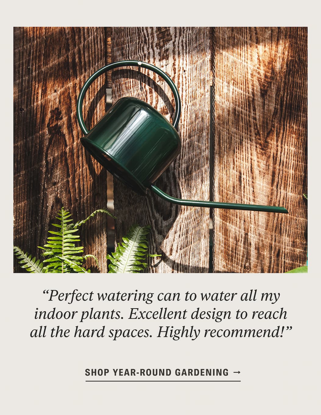 Shop Year-Round Gardening