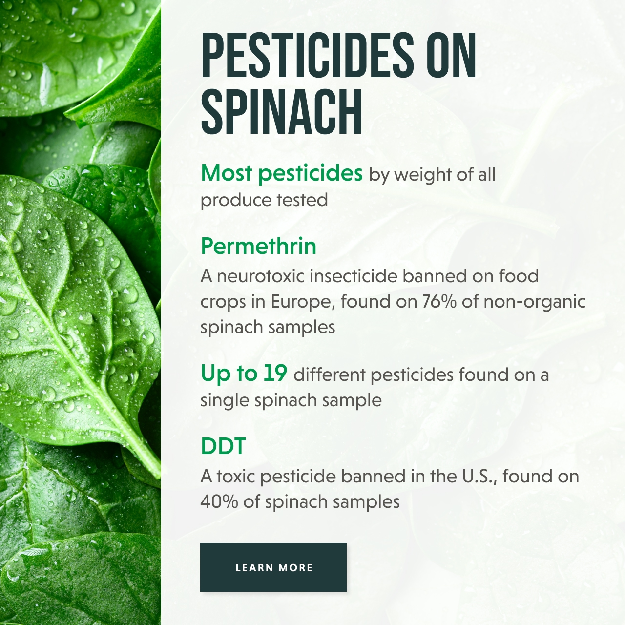 Pesticides on spinach - LEARN MORE