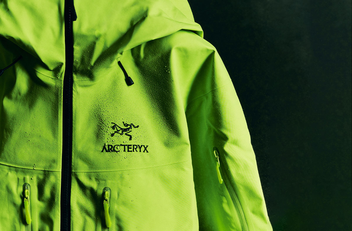 New Arrivals This Week