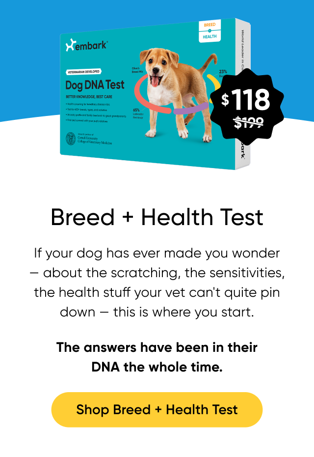 If your dog has ever made you wonder — about the scratching, the sensitivities, the health stuff your vet can't quite pin down — this is where you start. The answers have been in their DNA the whole time. Shop Breed + Health Test.