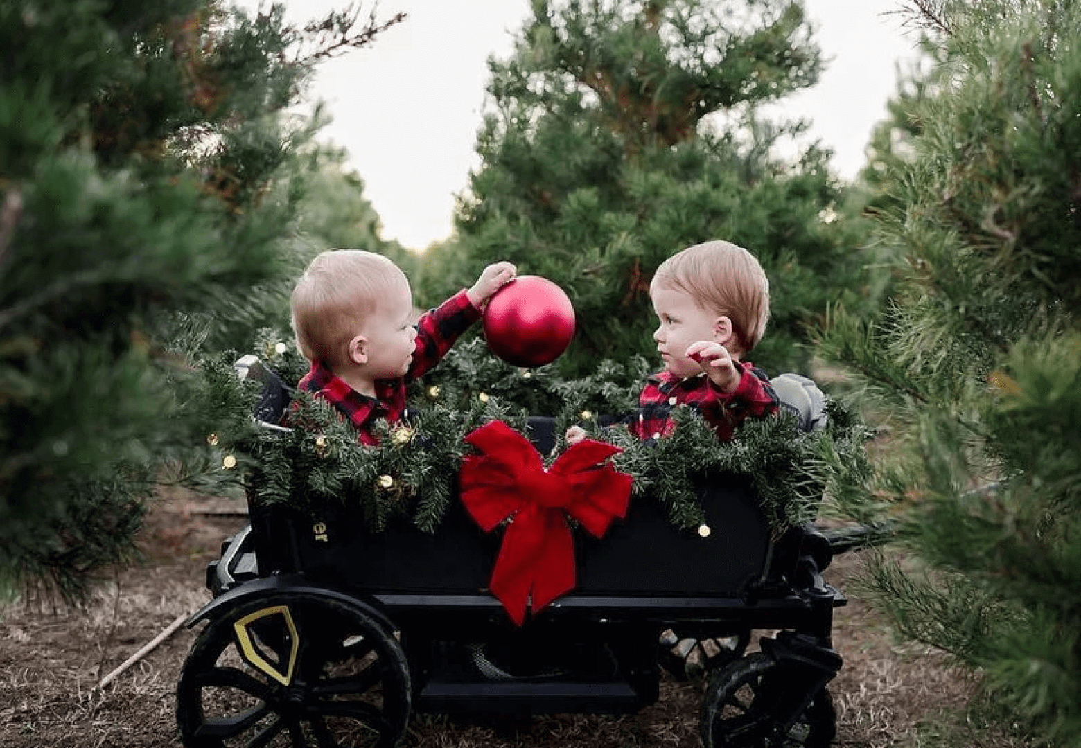 12 best christmas activities for kids in a wagon