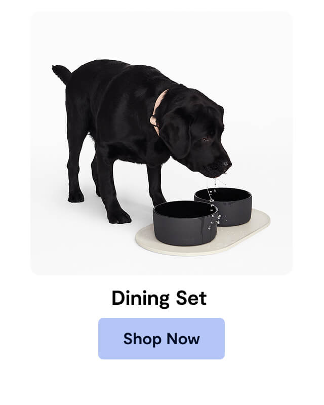 Dining Set