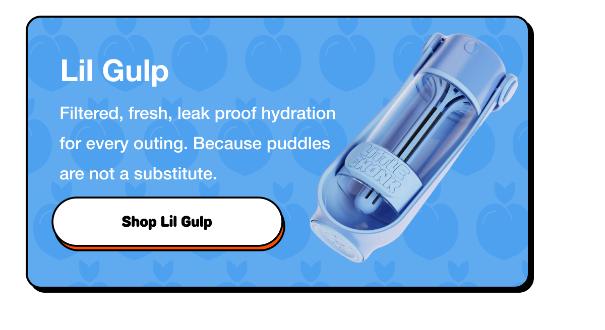Lil Gulp