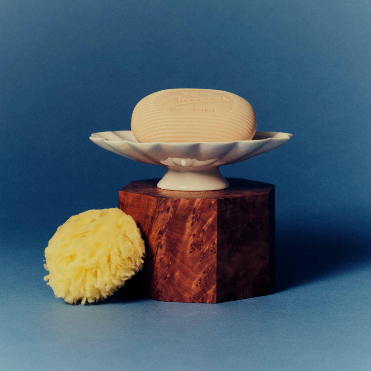 Image of Bienaime Handmace Ceramic Shell Soap Dish