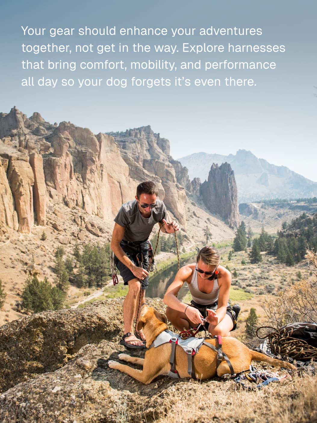 Your gear should enhance your adventures together, not get in the way. Explore harnesses that bring comfort, mobility, and performance all day so your dog forgets they’re even there.