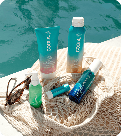 Summer Favorites