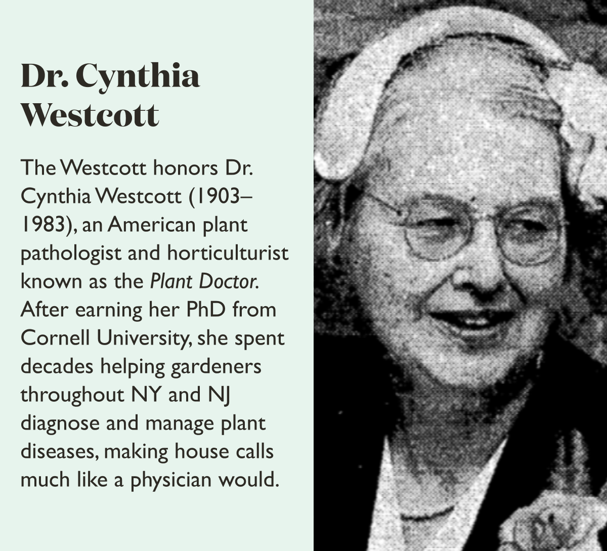 About Dr. Cynthia Westcott