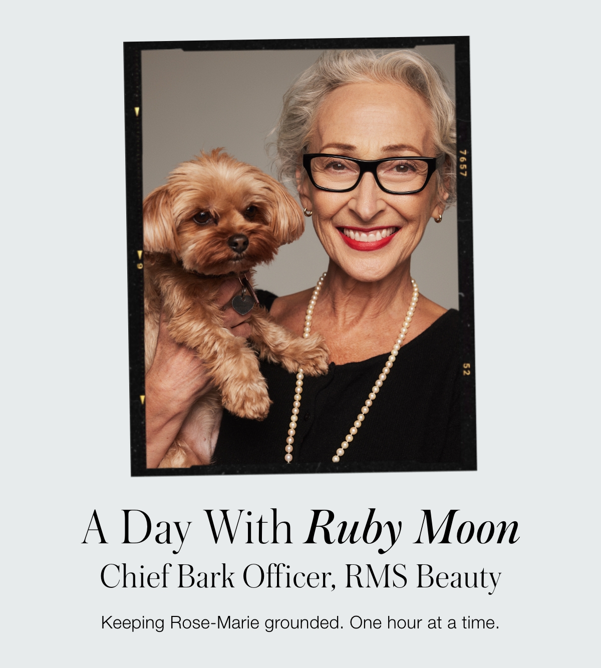 Spend The Day With Our Chief Bark Officer Ruby Moon