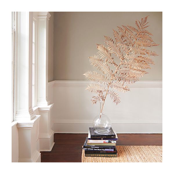 A corner space with light tan painted upper walls, white lower walls, and white molding.