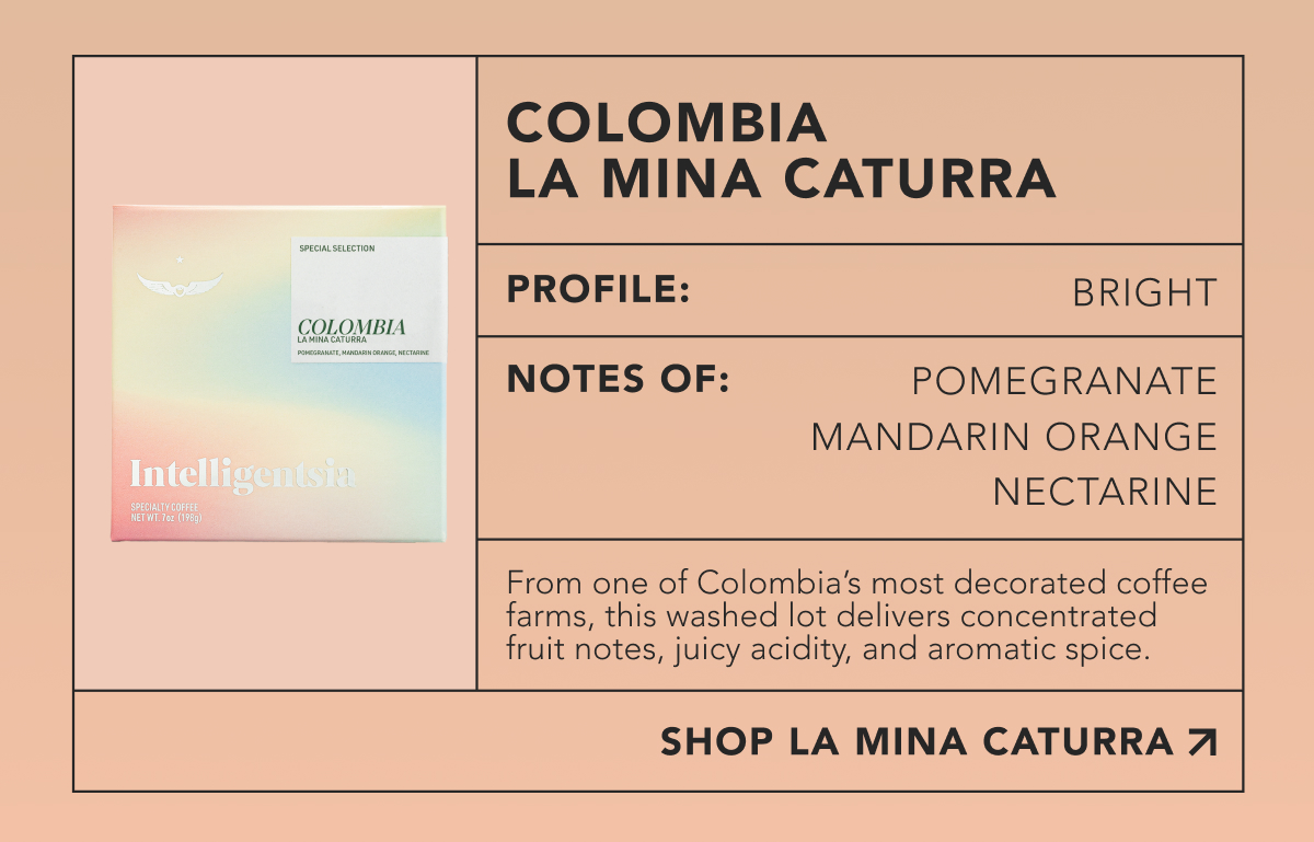 Colombia La Mina Caturra. Profile: Bright. Notes of: Pomegranate, mandarin orange, nectarine. From one of Colombia’s most decorated coffee farms, this washed lot delivers concentrated fruit notes, juicy acidity, and aromatic spice. | SHOP LA MINA CATURRA 