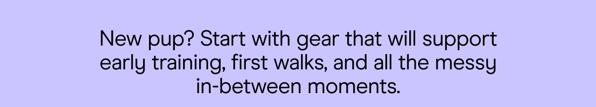 New pup? Start with gear that will support early training, first walks, and all the messy in-between moments.