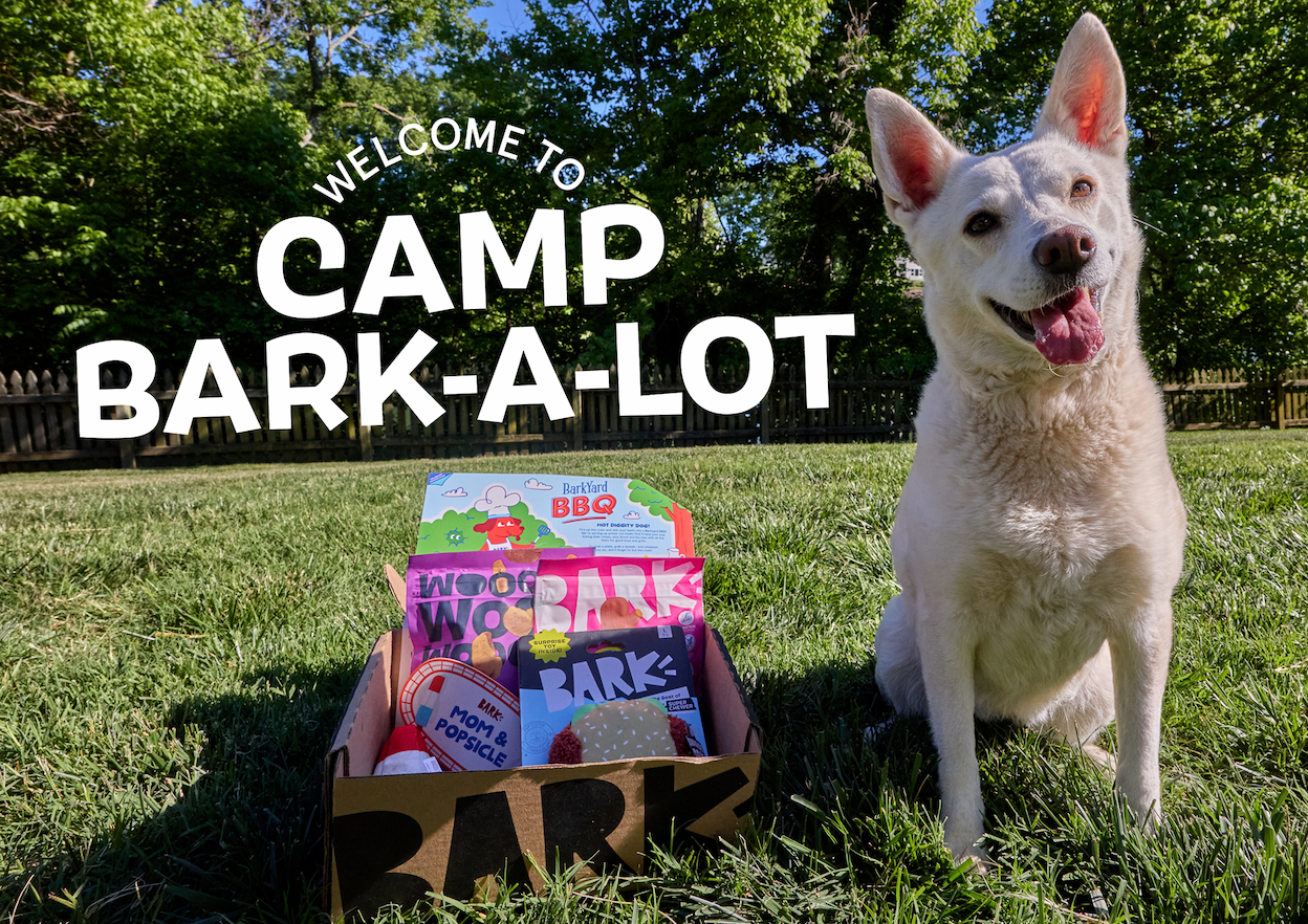 Welcome To Camp Bark-A-Lot