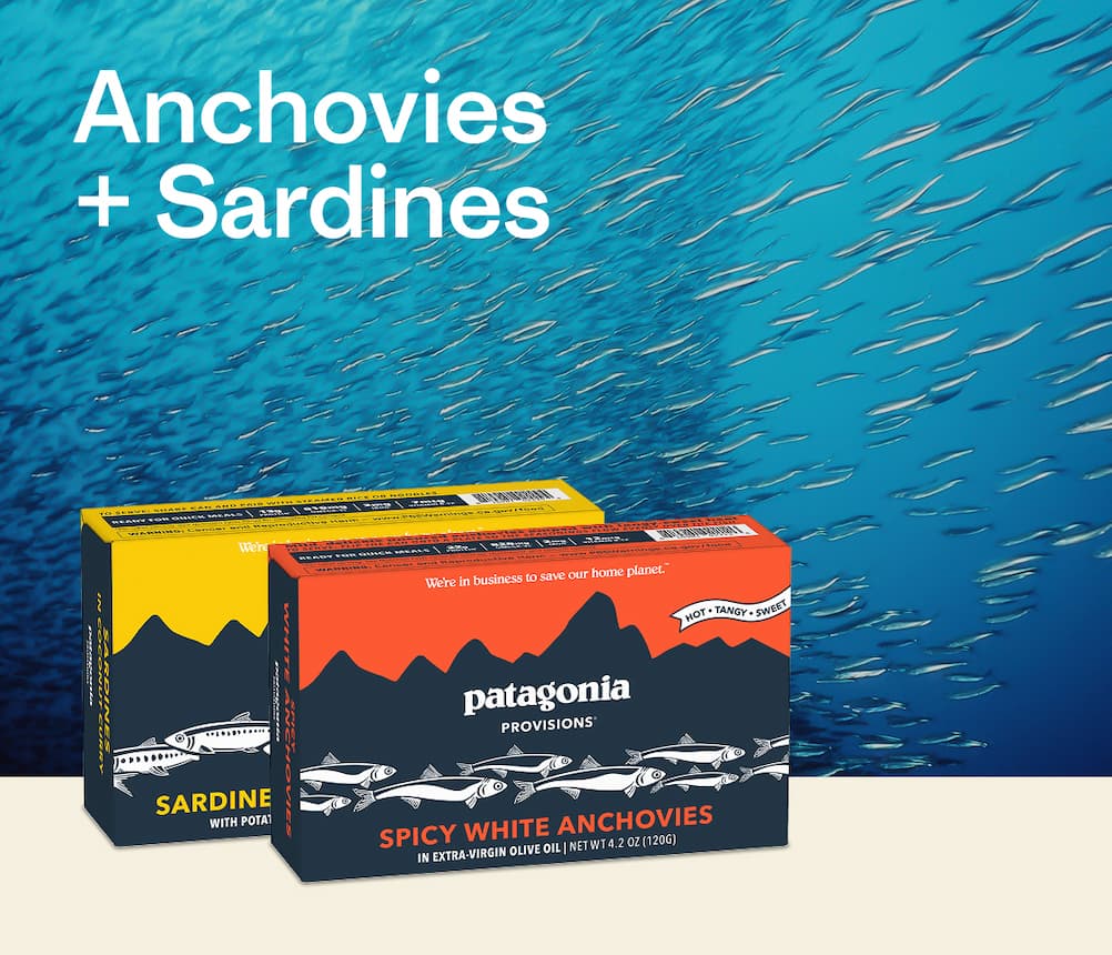 Anchovies + Sardines 