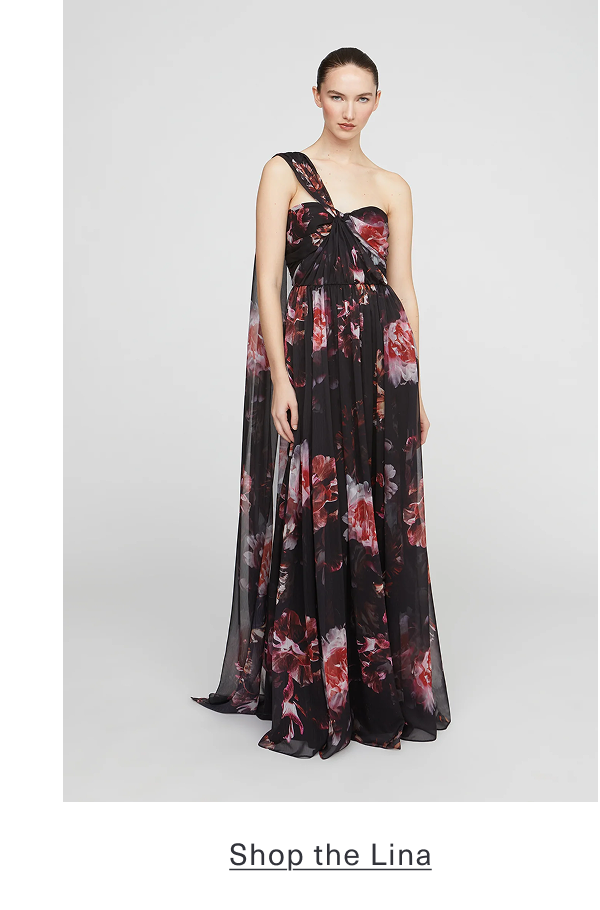 Shop the Lina Chiffon Gown