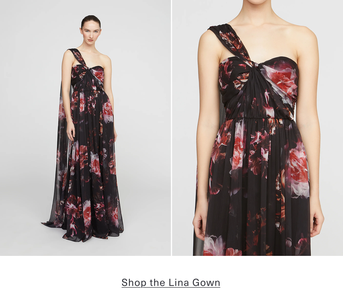 Shop the Lina Chiffon Gown