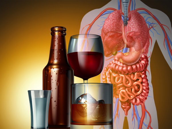 Illustration of alcohol and glasses as a medical riskon the human body as cancer or dangerous health.