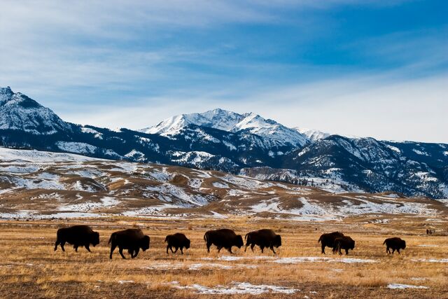 Help protect US national parks