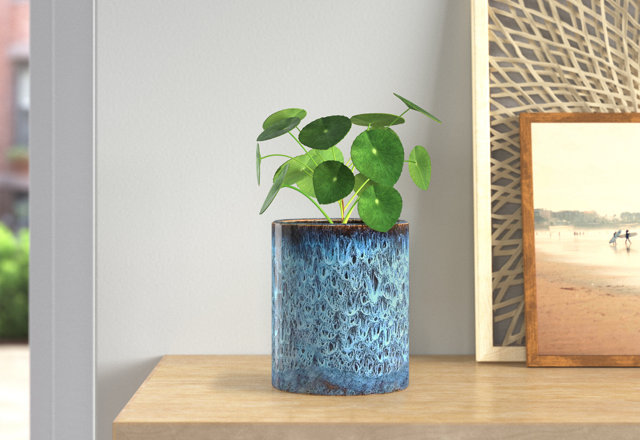 Planters for You