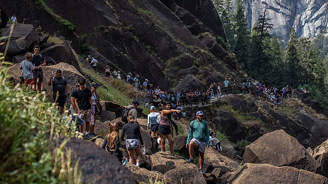 Crowds