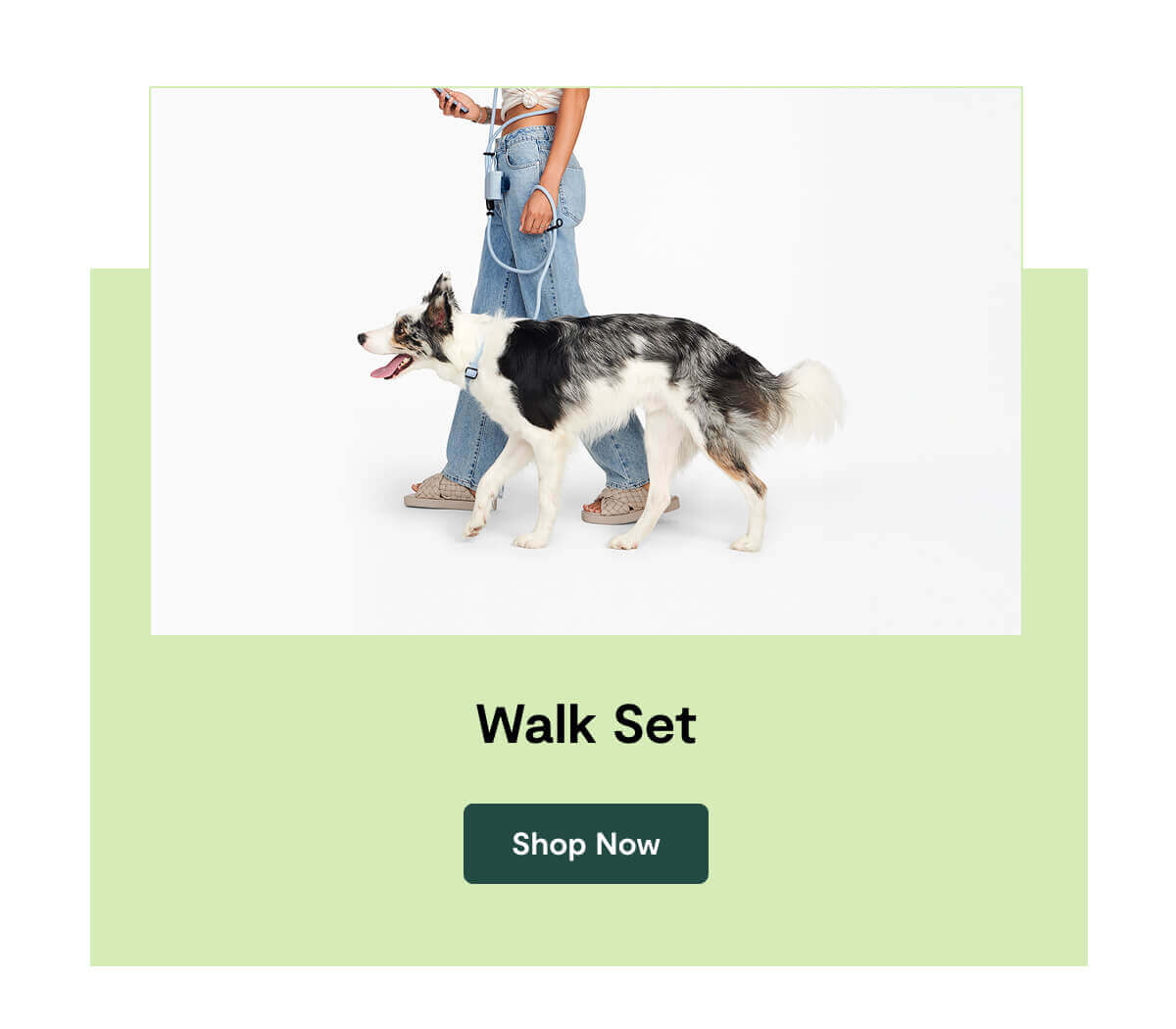 Walk Set