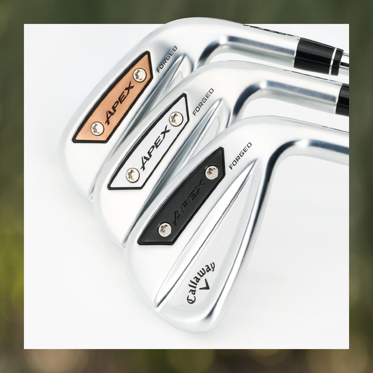 Apex Colored Weights