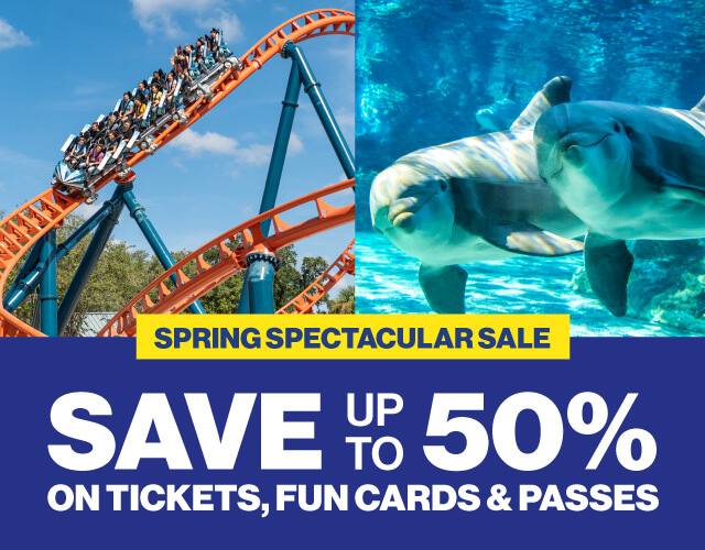 Plan your visit!