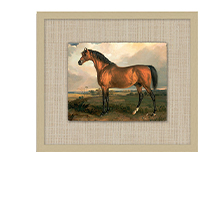 Carson Kressley The Wild Crown Art