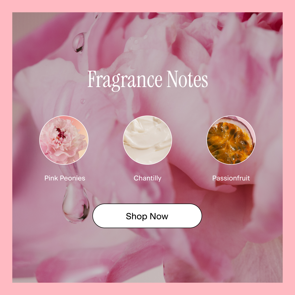 Fragrance Notes: Pink Peonies, Chantilly, Passionfruit