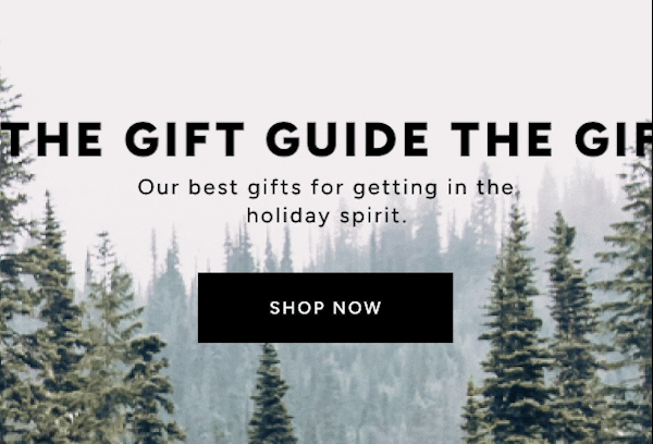 Shop the Gift Guide