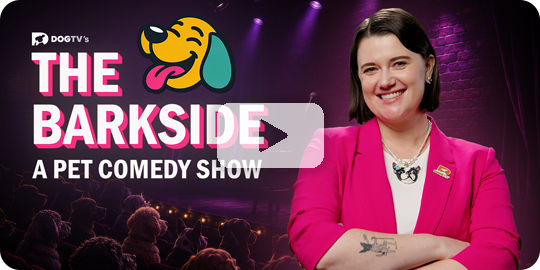 The Barkside: A Pet Comedy Show