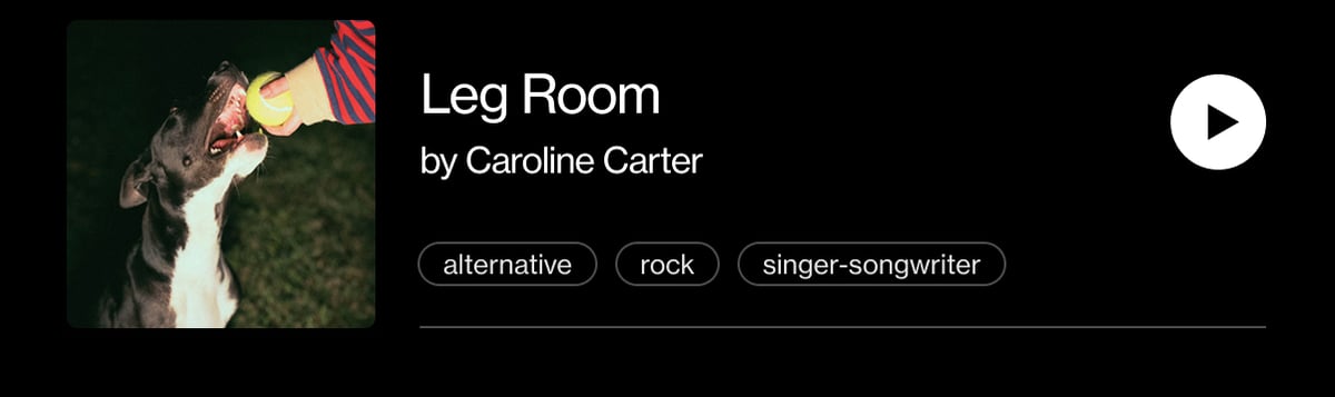 "Leg Room" by Caroline Carter