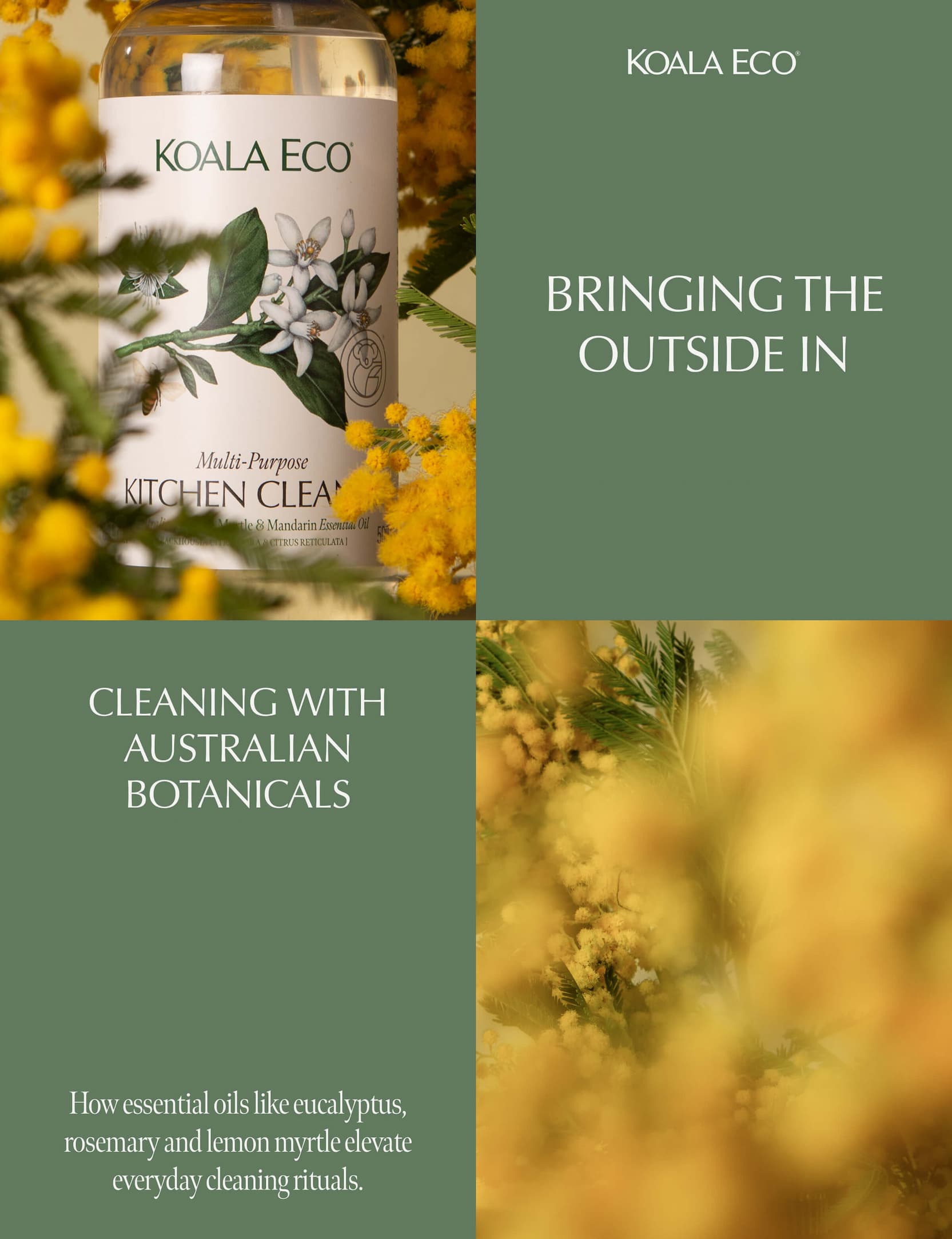 KOALA ECO: Bringing the outside in