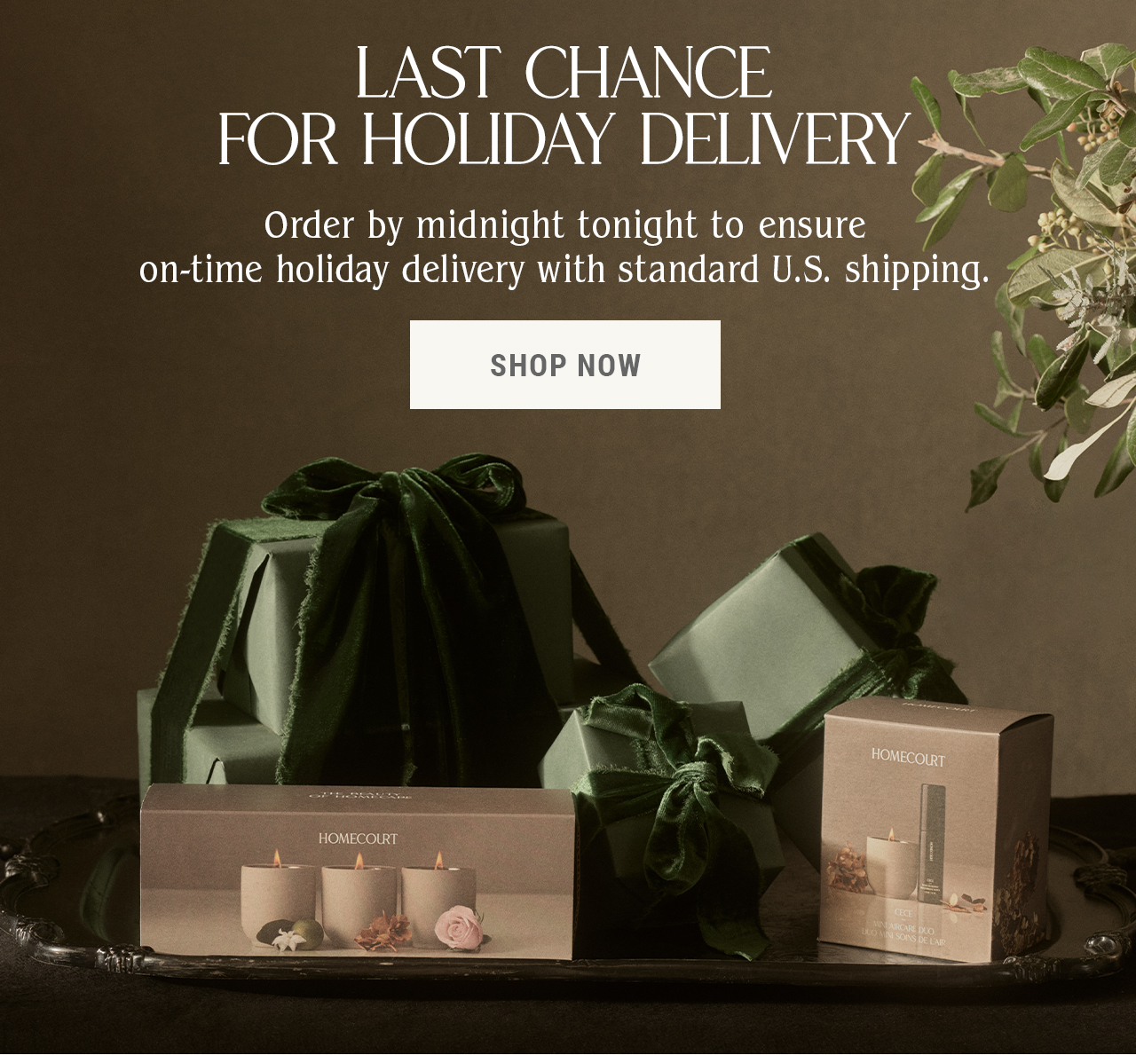 LAST CHANCE FOR HOLIDAY DELIVERY
