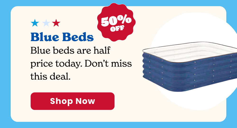 The deepest discount we run all year. Every blue bed in the lineup is 50% off right now. These go fast.
