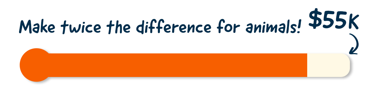 Make twice the difference for animals! $55k