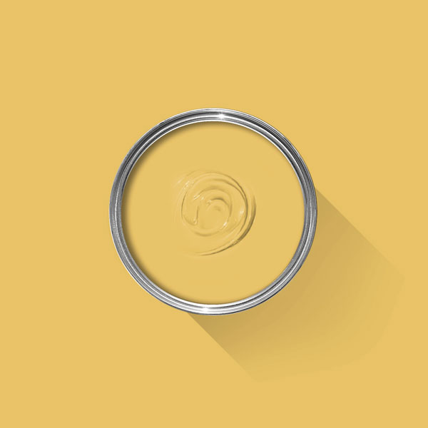 A photo looking down on a Farrow & Ball tin filled with Babouche