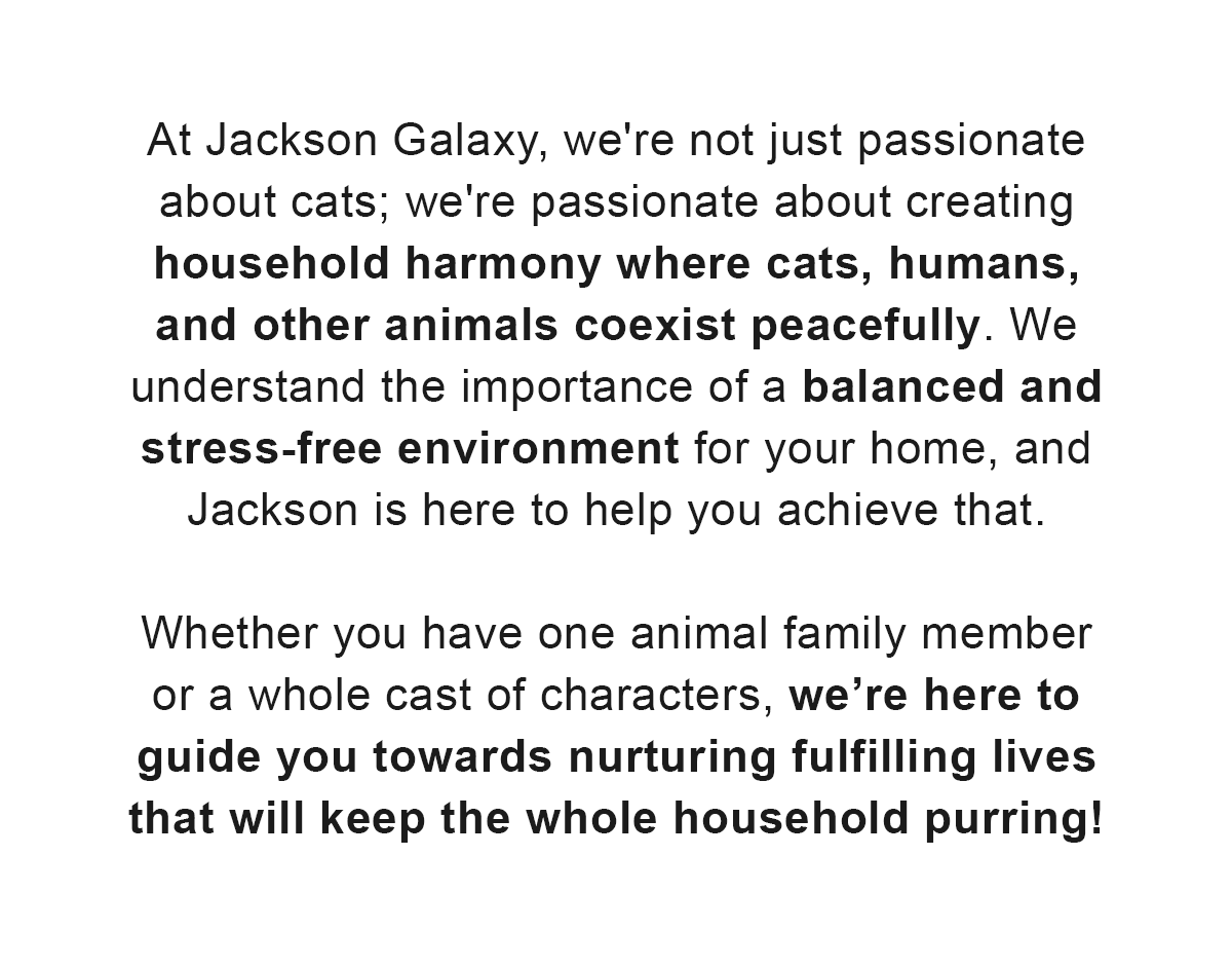 At Jackson Galaxy, we're not just passionate about cats; we're passionate about creating household harmony where cats, humans, and other animals coexist peacefully. We understand the importance of a balanced and stress-free environment for your home, and Jackson is here to help you achieve that.   Whether you have one animal family member or a whole cast of characters, we’re here to guide you towards nurturing fulfilling lives that will keep the whole household purring!