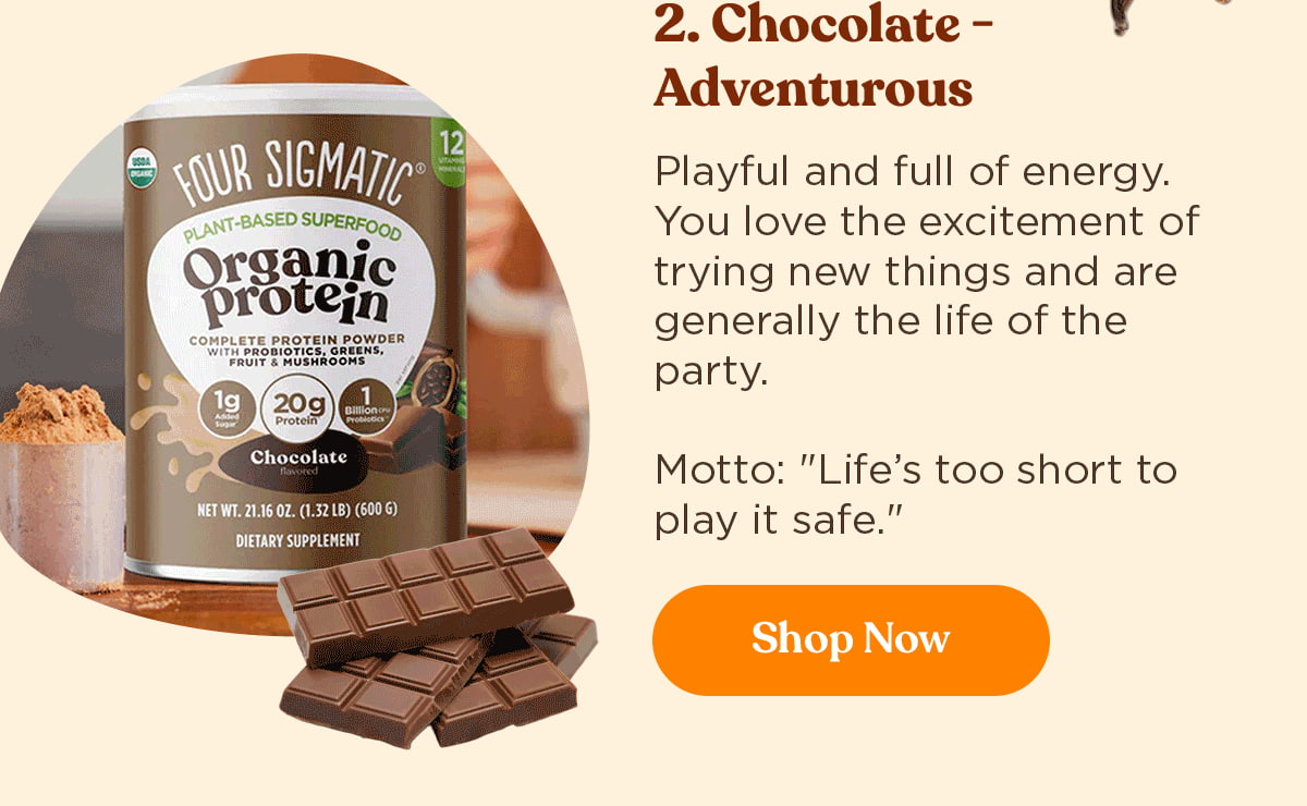 Plant-Based Protein – Chocolate