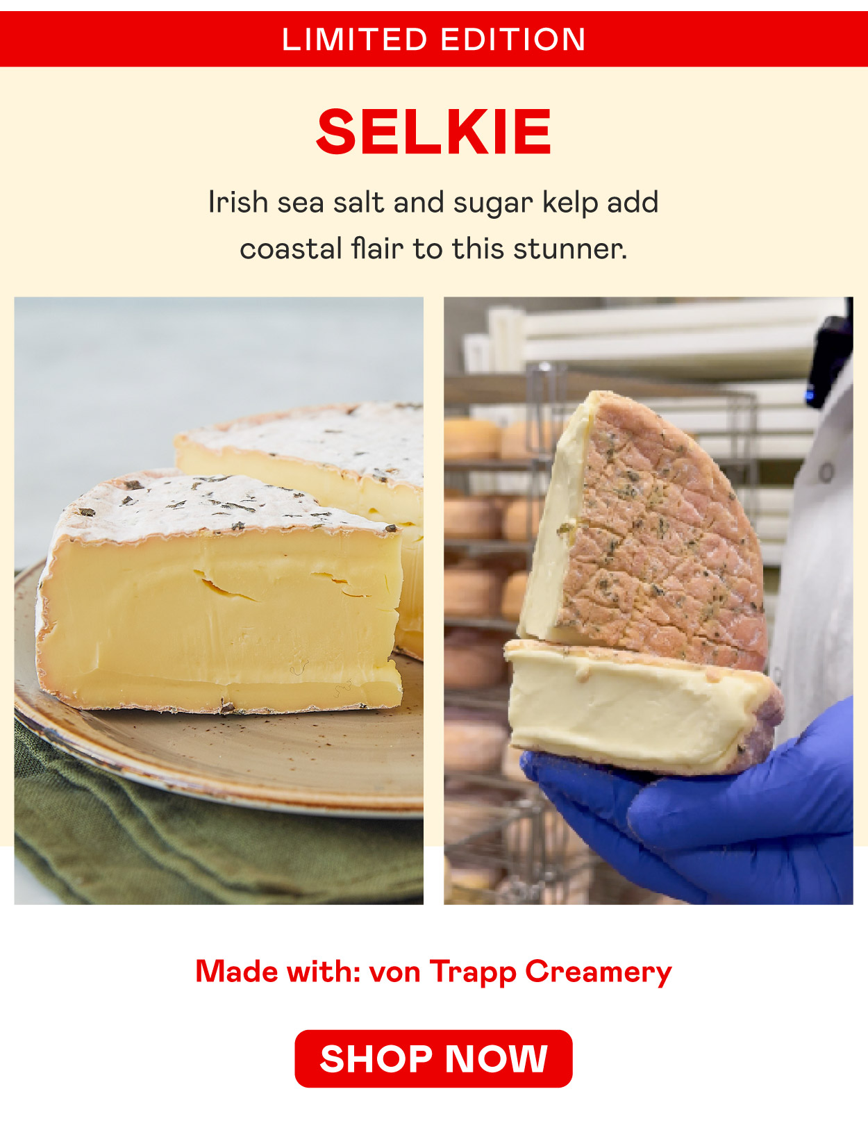 Cave Aged Limited Selkie​