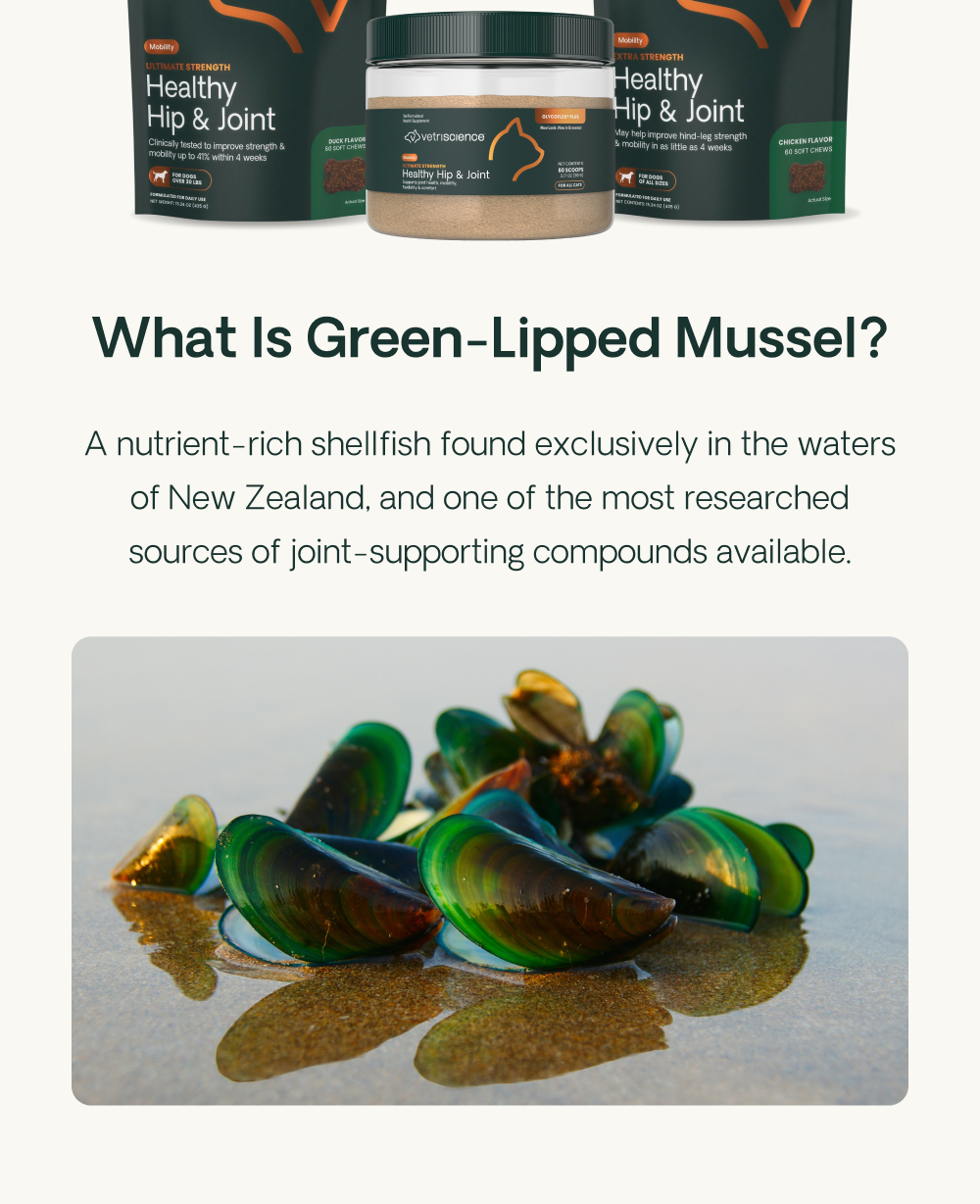 What Is Green-Lipped Mussel? A nutrient-rich shellfish found exclusively in the waters of New Zealand, and one of the most researched sources of joint-supporting compounds available.
