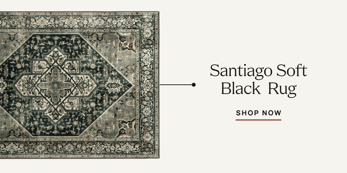 Santiago Soft Black Rug | Shop Now