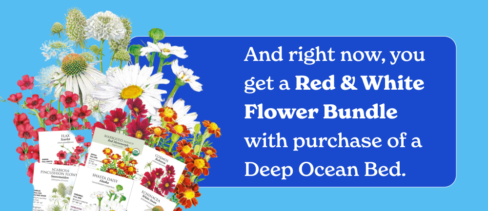  And right now, you get a Red & White Flower Bundle with purchase. 