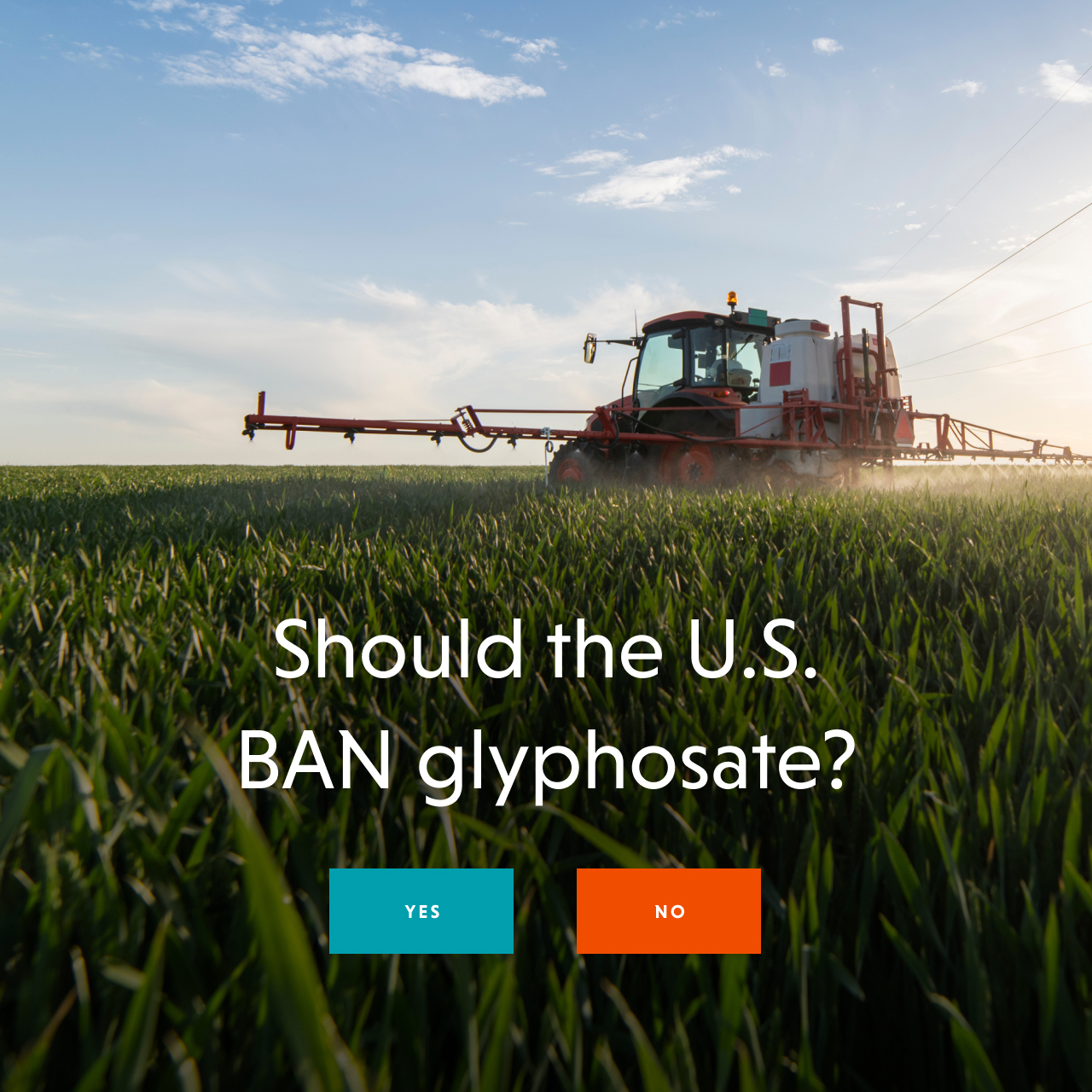 Should the U.S. ban glyphosate? - YES / NO