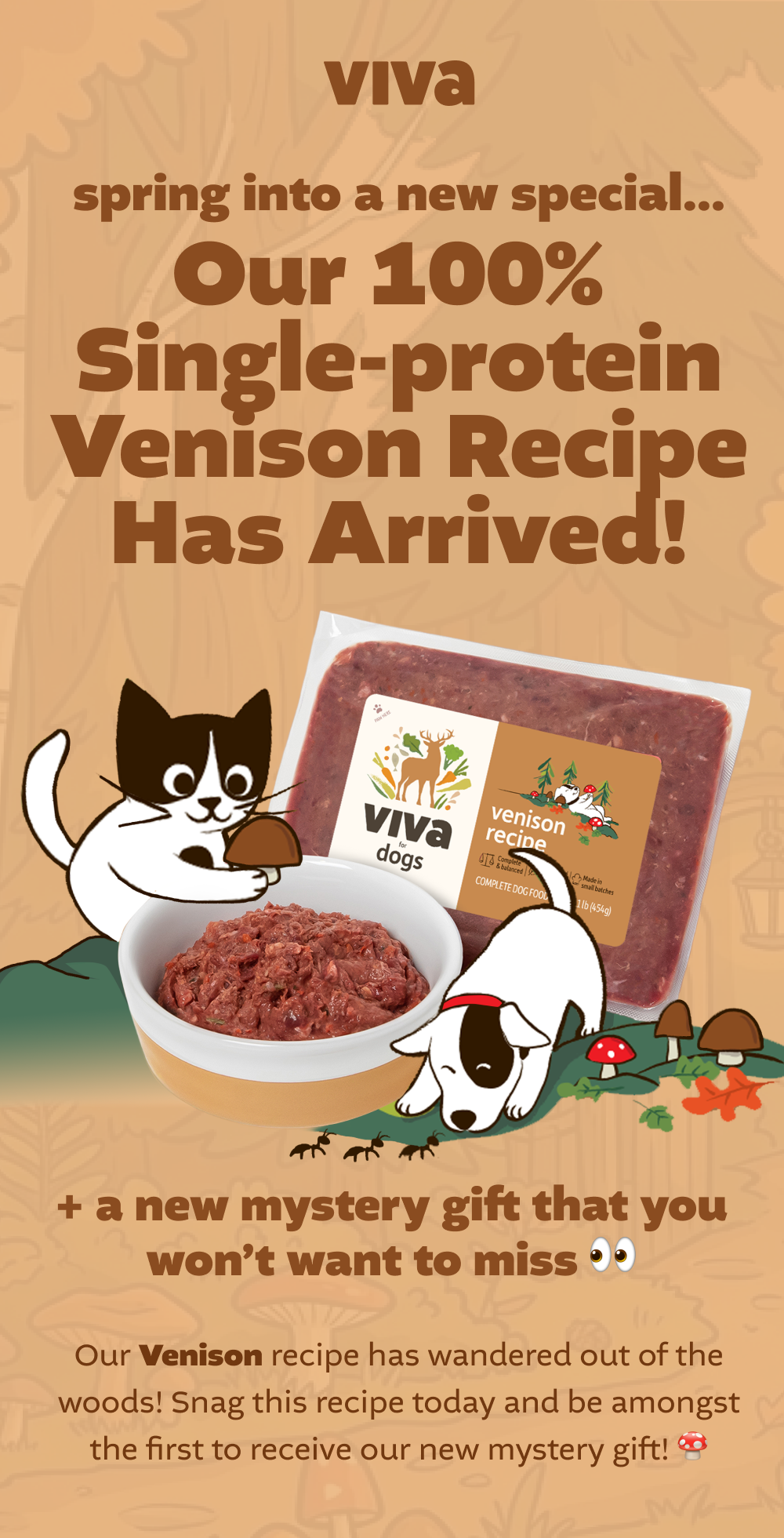 NEW SEASONAL RECIPE VENISON
