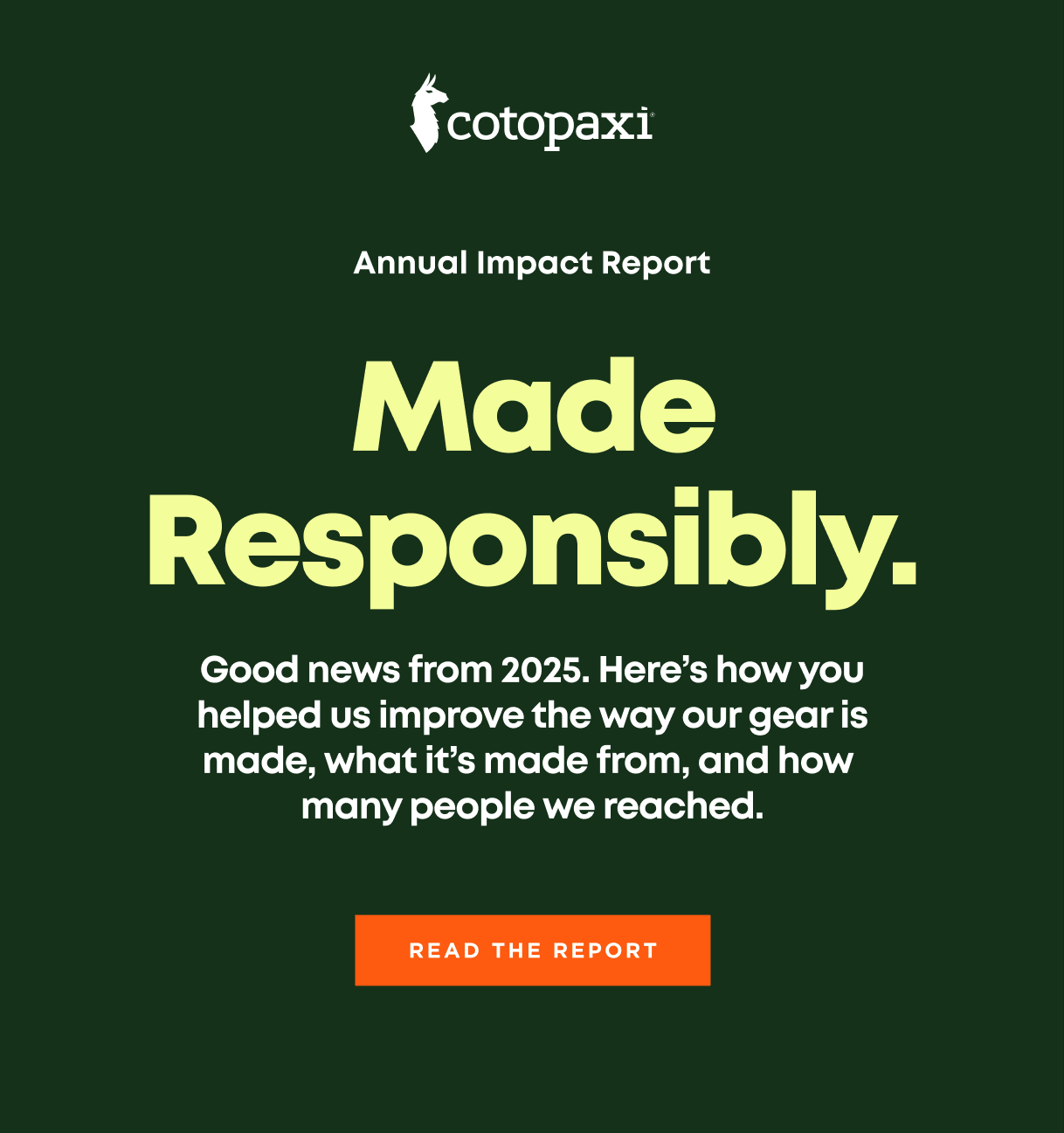 Read the Report