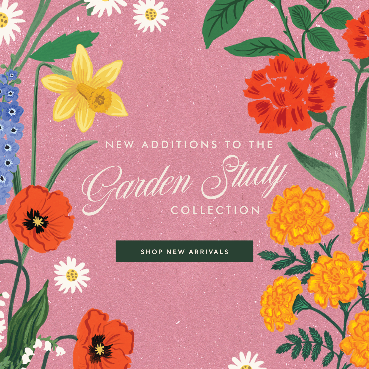 NEW ADDITIONS TO THE Garden Study COLLECTION | SHOP NEW ARRIVALS