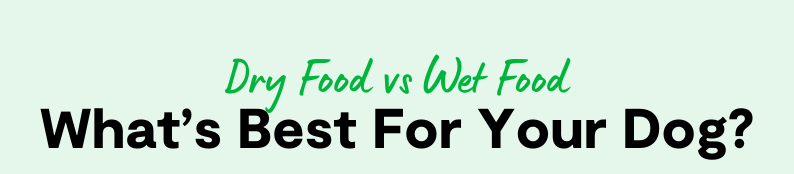 Dry Food vs Wet Food - What's best for your dog?