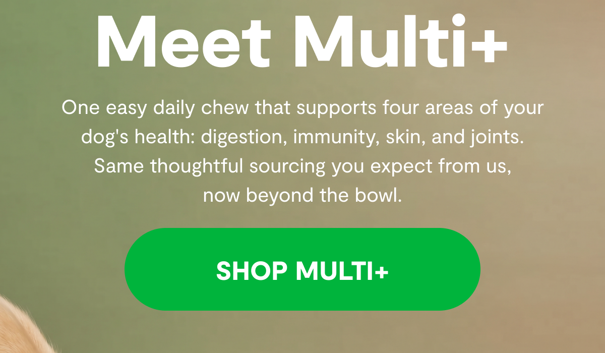 Meet Multi+ | One easy daily chew that supports four areas of your dog's health: digestion, immunity, skin, and joints. Same thoughtful sourcing you expect from us, now beyond the bowl. [ SHOP MULTI+ ]